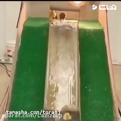 جواد خواجوی - انگار بچه آدمن