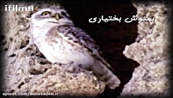 سریال طنز خانه به دوش - قسمت 2...