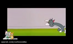 کارتون تام و جری تام و جری