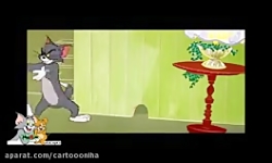 کارتون تام و جری تام و جری