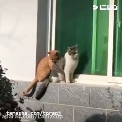 جواد خواجوی -  هر شب با یکیه !...