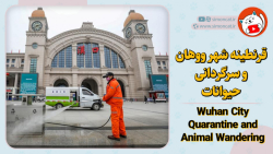 قرنطینه شهر ووهان و سرگردانی ح...