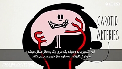 در هنگام سکته چه باید کرد؟
