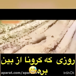 وقتی کرونا تو ایران از بین‌ بر...