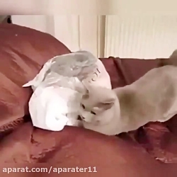 کلیپ جالب و دیدنی خنده دار