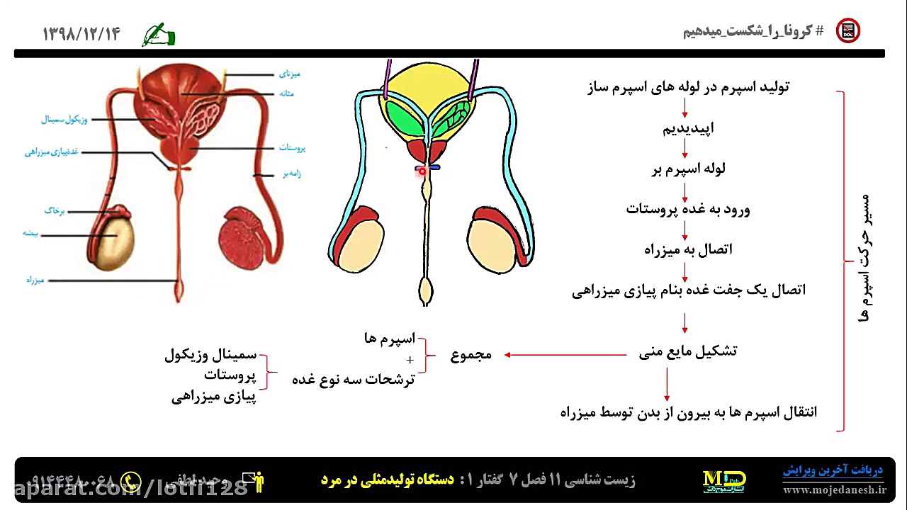 آموزش زیست شناسی 11 فصل 7 گفتار 1 صفحه 100 تا 101 (مدرس: وحید لطفی) آزمون NanoString