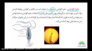 زیست پایه دهم  سرکار خانم مهند...