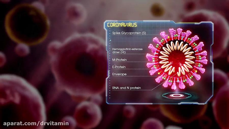 توضیح ویروس کرونا