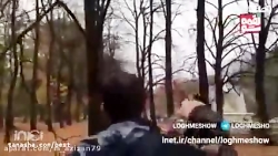 لقمه شو - دلتنگی از نوع لقمه