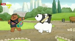 خرس های کله فندقی  پارک خرسی