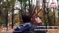 لقمه شو دلتنگی ازنوع لقمه