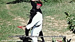 دانلود فیلم رزمی کنگفو کنگ فو...