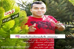 آهنگ مهدی علیزاده - ثروت