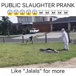 کلیپ خنده دار ترسناک......ایست...