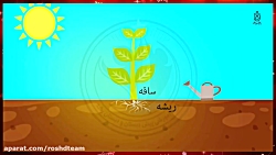 گیاهان علوم سوم ابتدایی