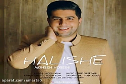 آهنگ محسن حسینی - حالیشه