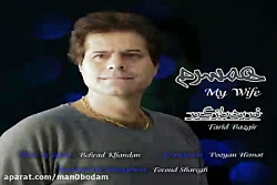 آهنگ فرید بازگیر - همسرم