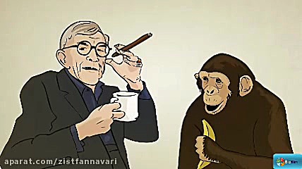 مفهوم ژن ماموپلاستی