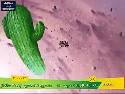 انیمیشن دیجیمون قسمت ۱۲ دوبله...