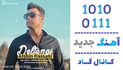 اهنگ افشین حسنی به نام دلتنگی...