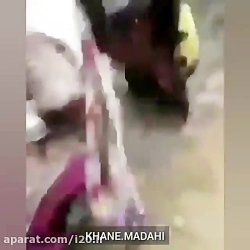 ⭕️ اینجا هند است، لطفا ببینید...