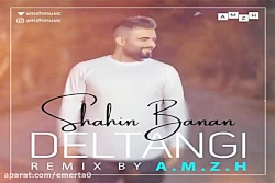 آهنگ ریمیکس شاهین بنان - دلتنگ...