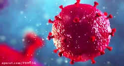 همدستی جهان برای ازبين بردن کر...