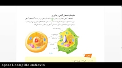 ادامه یاخته و سازمان بندی آن ف...