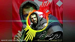 مداحی خبرش پیچیده توی کل این ش...