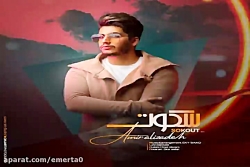 آهنگ امیر علیزاده  سکوت