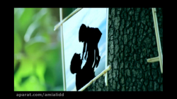 ویژه روز پدر / موزیک ویدئو پدر