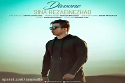 آهنگ سینا رضایی نژاد  دیوونه