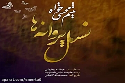 آهنگ میثم محسنی - نسل پروانه ه...