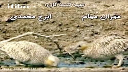 سریال خانه به دوش قسمت 5