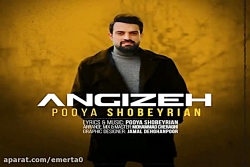 آهنگ پویا شبیریان - انگیزه