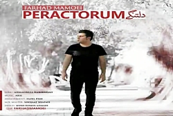 آهنگ فرهاد ممویی  دلتنگی