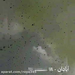 اولین دسته ملخ‌های مهاجم به آب...