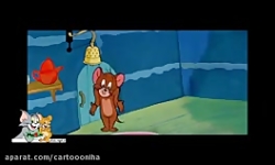 کارتون تام و جری تام و جری