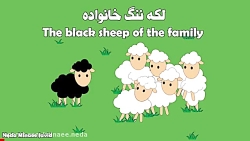 The black sheep of the family