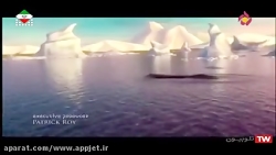 کارتون ساریلا