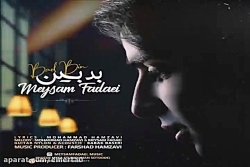 آهنگ میثم فدایی - بدبین