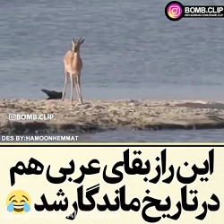 رازبقا