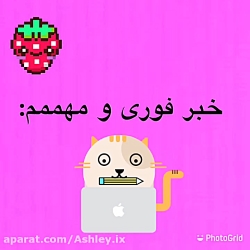 خبر مهم و فورى