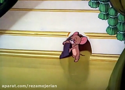 کارتون موش و گربه 15