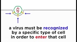 ساخت ماسک ضد ویروس کرونا