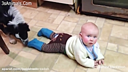 حیوانات بامزه و بچه ها