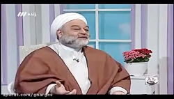 "جعفر طیّار" کیست و...