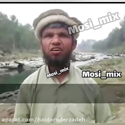 کلیپ خنده دار الو سلام