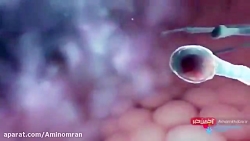 ویروس کرونا چگونه بدن را درگیر...