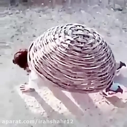 کلیپ خنده دار !!!